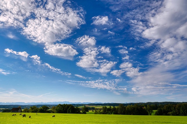Irish organic meat farm operations with barn pasture and workers